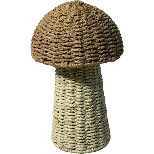 OLT-53